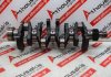 Albero motore ED0010514860-S, ED0010508850-S per KOHLER KDI1903, KDI2504