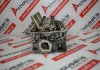Zylinderkopf 8200293024 zum RENAULT, NISSAN 