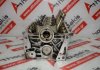 Zylinderkopf 8200293024 zum RENAULT, NISSAN 