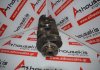 Albero motore 068E, 068105101M per VW JK, JP, JR, JX