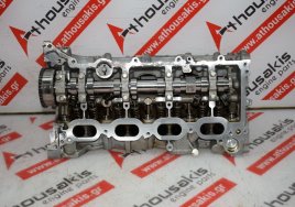 Cylinder Head 110424389R, 11041-3000R, 11042-3582R, 11041-2299R, 11041-00Q4C, 11041-00Q4N, 2820103901, 2820104301, 2820102602, 2820104001, 2820104601, 2820104301, 2820104701 for NISSAN, RENAULT, MERCEDES HR13-DDT, H5H, 282914