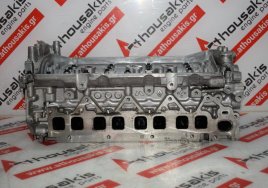 Cylinder Head 110422750R, 11041-00Q2L, 11041-00Q3E, 11041-4467R, 11041-5059R, 11041-5770R, 11041-6605R, 4423598, 6990101800, 7485144343, 7485144344, 7485148679, 8201431776, 8201721794, 95518935, 95523280 for NISSAN, RENAULT, MERCEDES, OPEL YS23, 699300, 699301, M9T260, M9T700, M9T702, M9T704, M9T706, M9T710