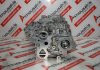 Cylinder Head 110422750R, 11041-00Q2L, 11041-00Q3E, 11041-4467R, 11041-5059R, 11041-5770R, 11041-6605R, 4423598, 6990101800, 7485144343, 7485144344, 7485148679, 8201431776, 8201721794, 95518935, 95523280 for NISSAN, RENAULT, MERCEDES, OPEL YS23, 699300, 699301, M9T260, M9T700, M9T702, M9T704, M9T706, M9T710