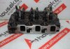 Zylinderkopf 3TN66 zum YANMAR 3TN66